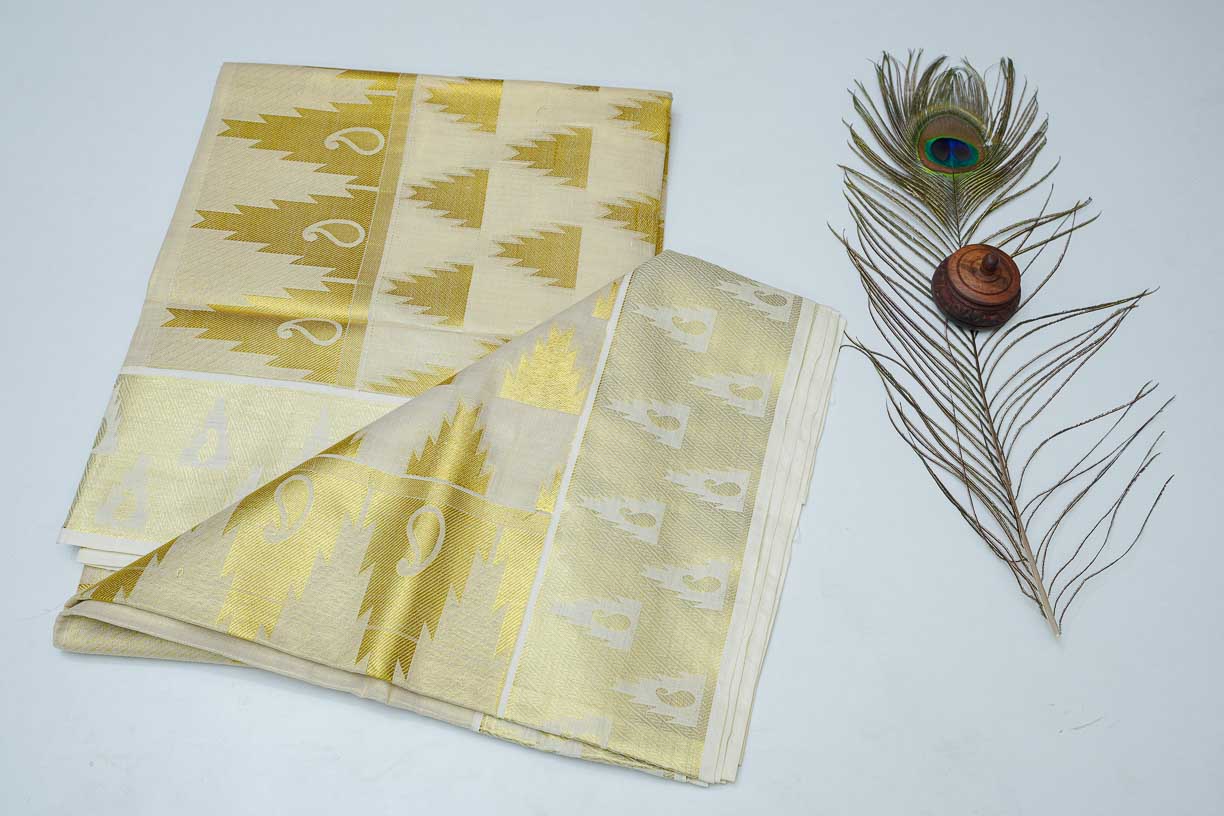 Women's Tissue Handloom Saree With Golden Design
