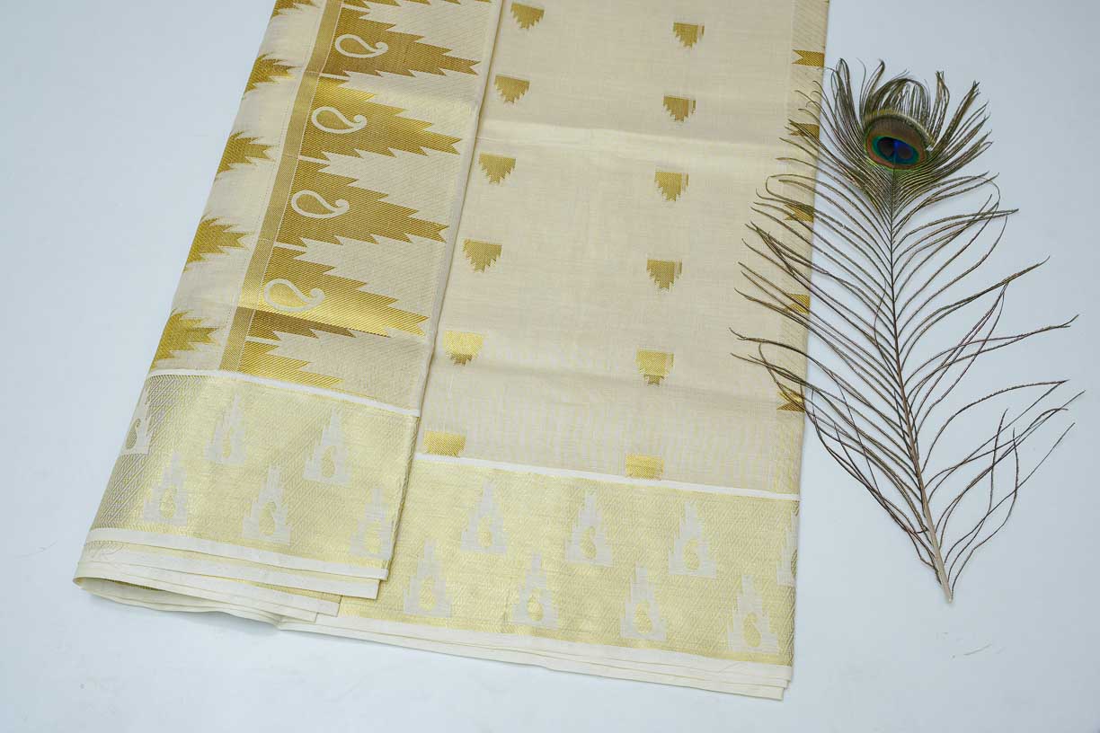 Women's Tissue Handloom Saree With Golden Design