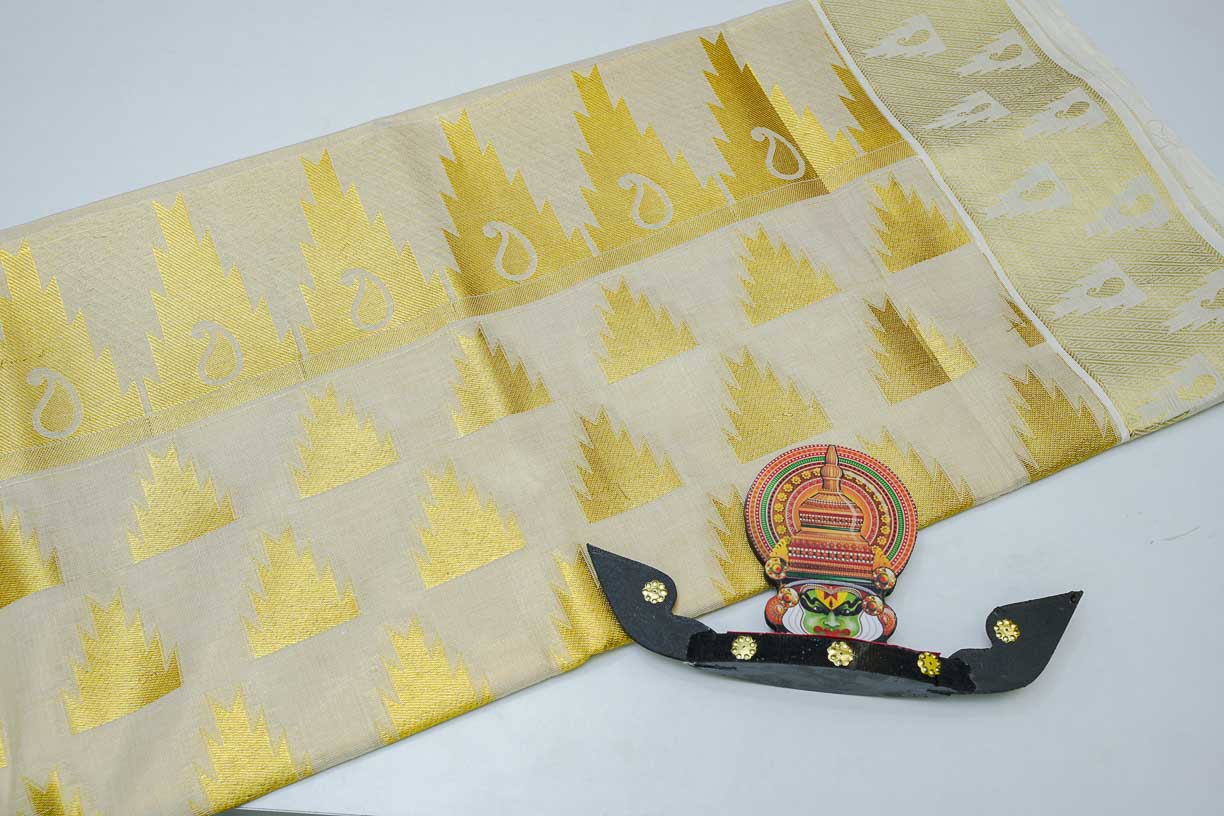Women's Tissue Handloom Saree With Golden Design