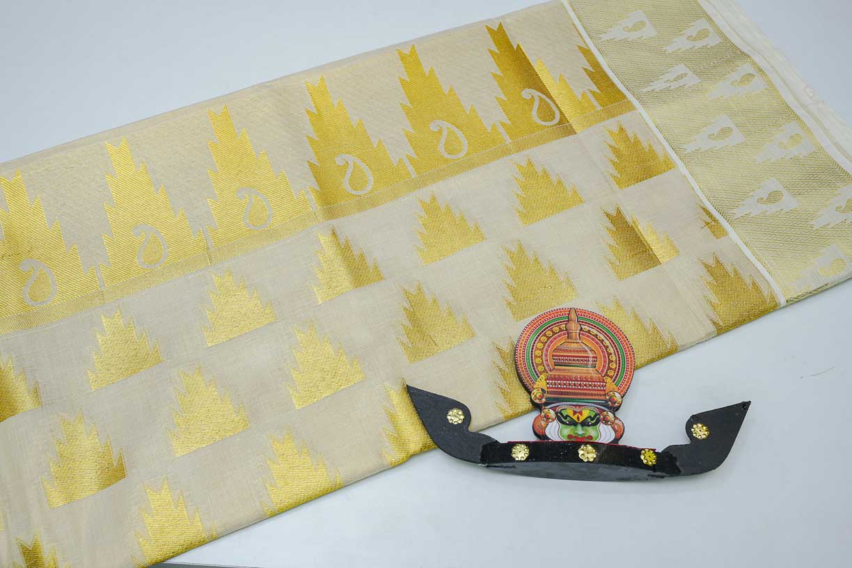 Women's Tissue Handloom Saree With Golden Design