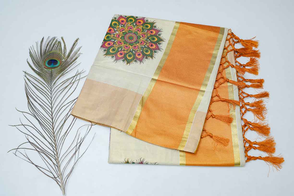 Cream Color Stitch Design Saree