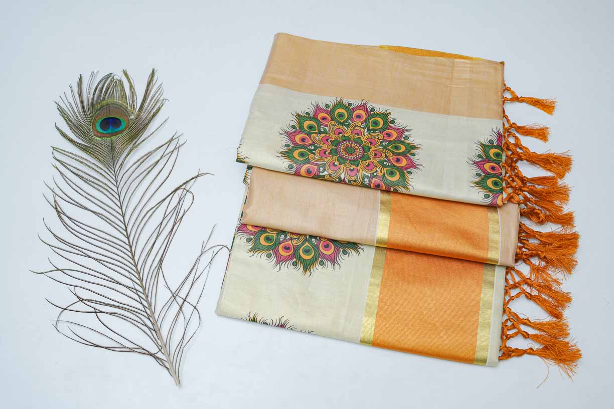 Cream Color Stitch Design Saree