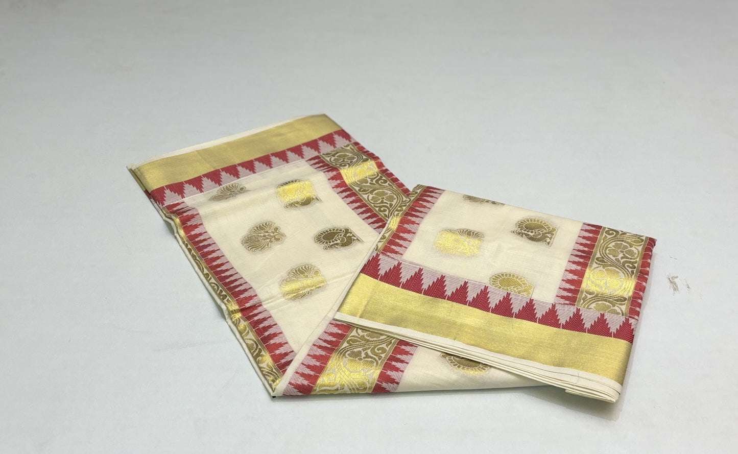 Handloom Beige Tissue Saree with Golden and Colored Border and Golden Design