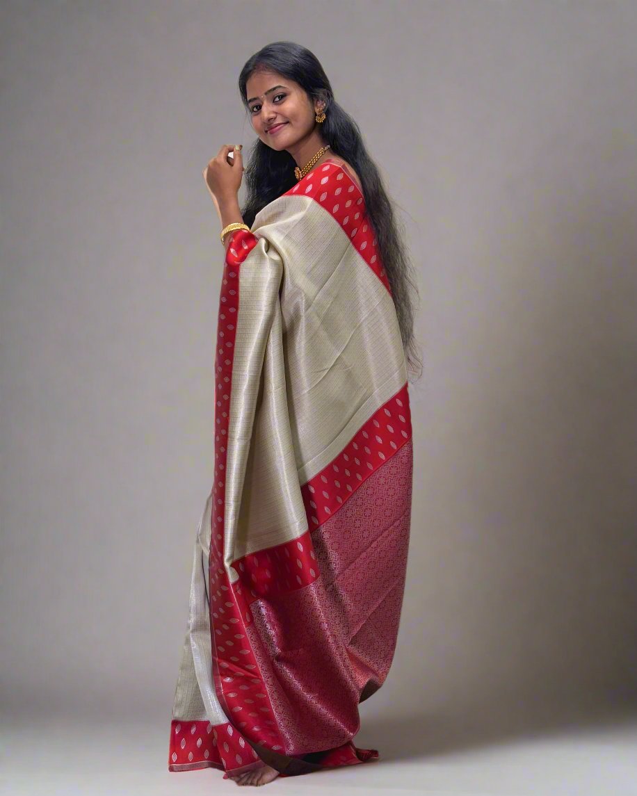 Handloom Tissue Silk Saree With Red Border and Rich Pallu
