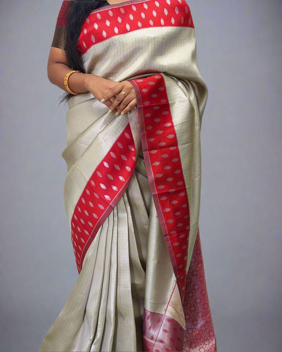 Handloom Tissue Silk Saree With Red Border and Rich Pallu