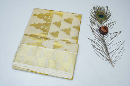 Women's Tissue Handloom Saree With Golden Design